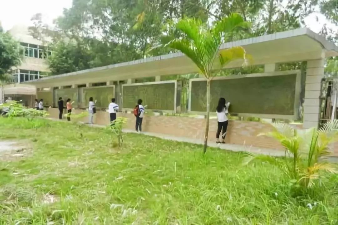 高三生活真实感受,看哭你的高三最真实的一天