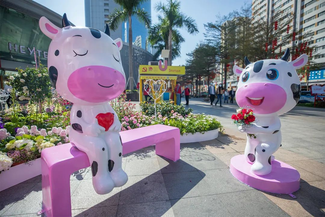 深圳花展2019年12月时间表,深圳第一场春天花展