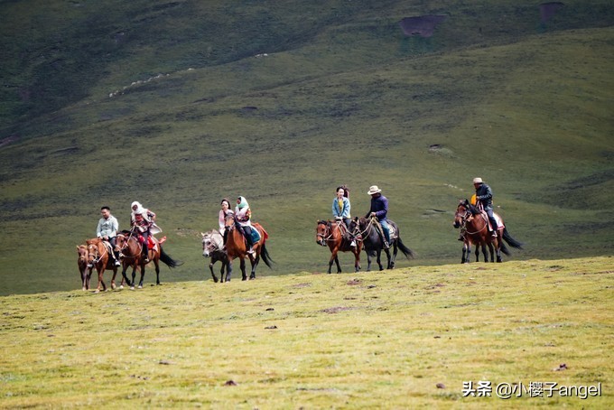 大西北环线深度旅行,大西北千沟万壑