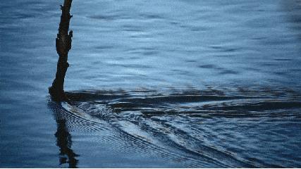 纳尼为什么这么厉害,纳尼缺点