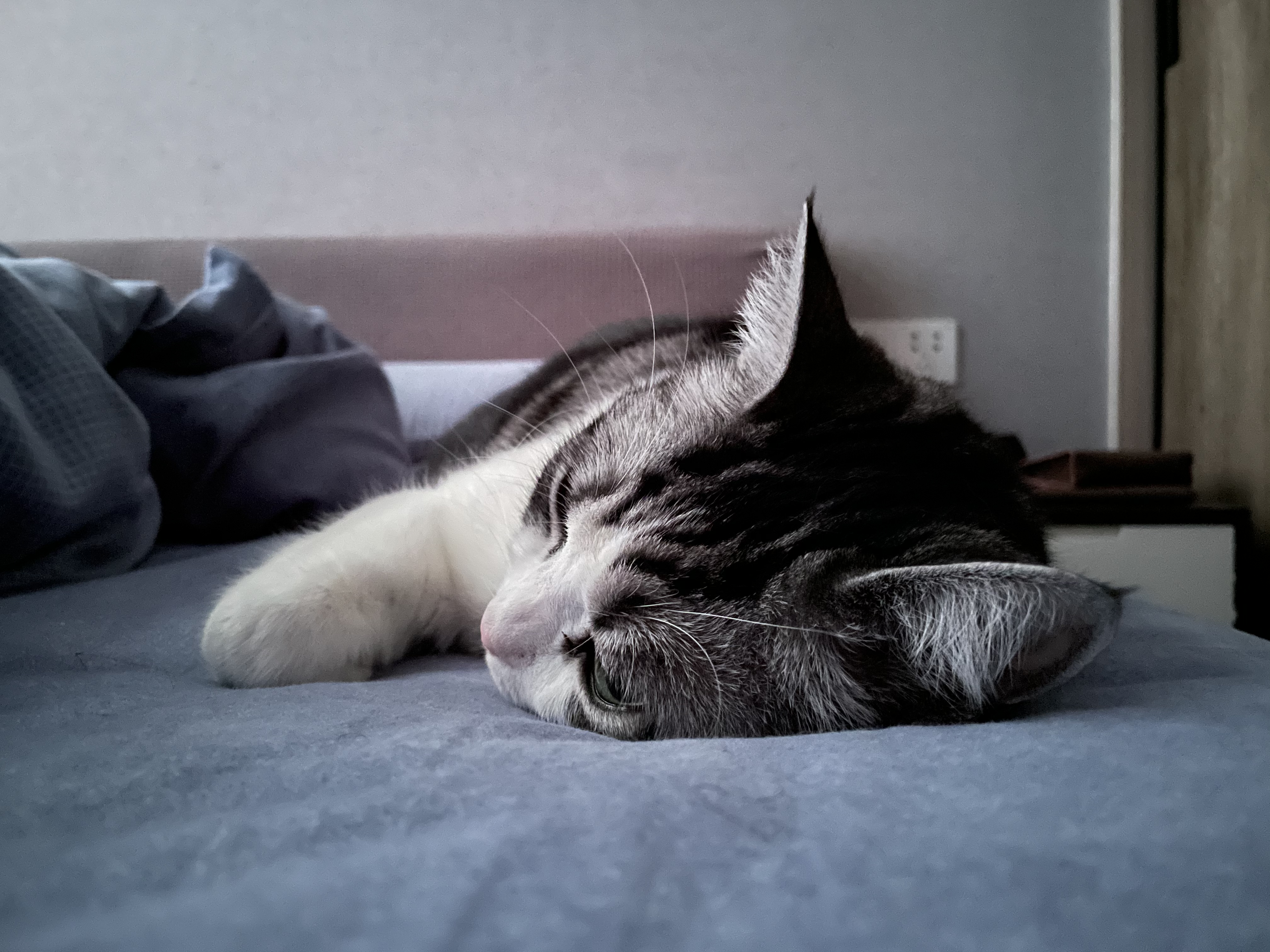 8、帮助你在股市披荆斩棘的利器——器篇