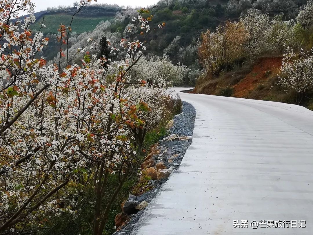 云南适合隐居的小山村,云南与世隔绝的花海