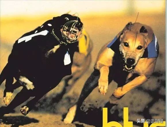 啥感觉？2亿滚成189亿，别墅里三百斤金条