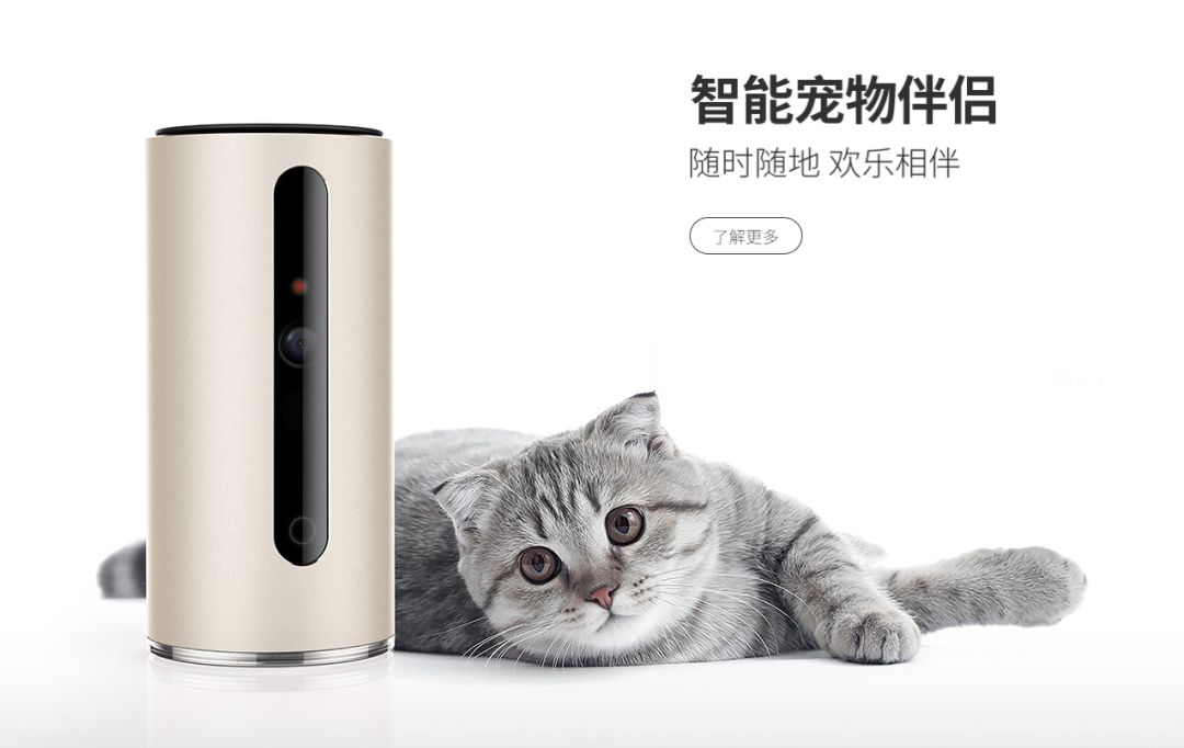 sfe上海国际连锁加盟展怎么购票,sfe上海国际加盟展在哪个馆