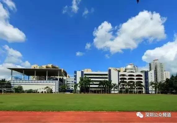深圳贵族小学,深圳贵族小学排名前十名