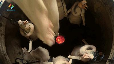 吃过的人都爱了！唯二能独立撑起美食纪录片的城市，你pick哪个？