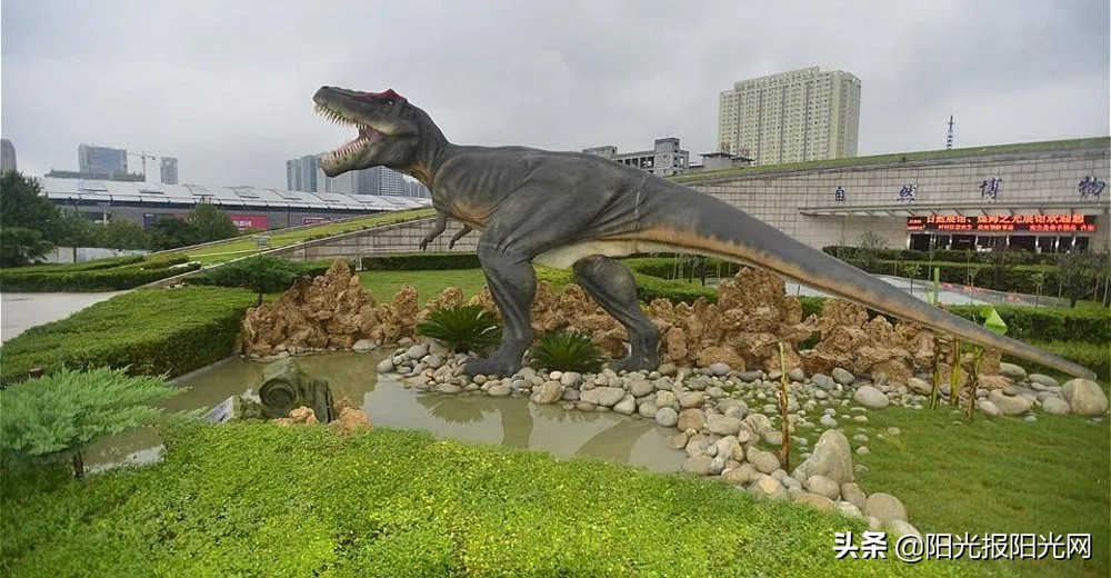 同学们可真能写！国家大地坐标系的“心脏”已经上榜~︱#新西安新名片征文选登,11