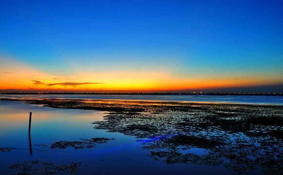 苏州乐园森林公园离拙政园有多远,苏州最出名的园林拙政园怎么介绍