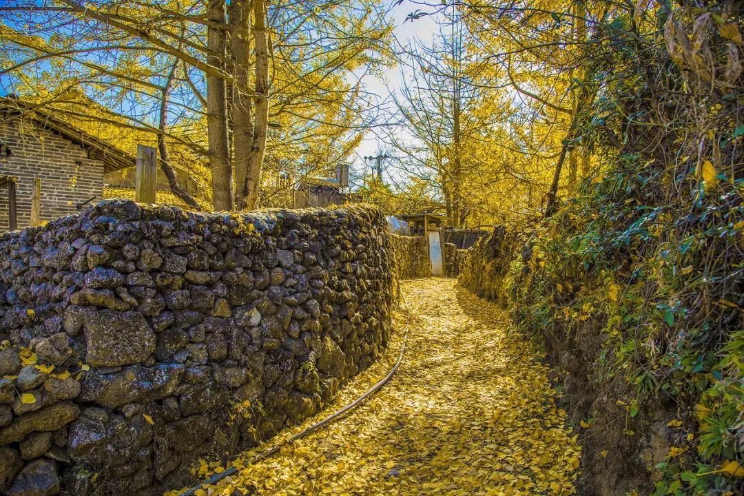 云南淡季旅游线路推荐,云南春季旅行推荐