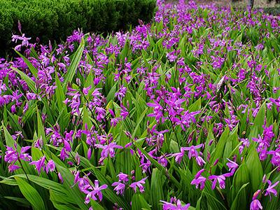 冬泳皮肤皲裂粗糙,会阴处皮肤皲裂