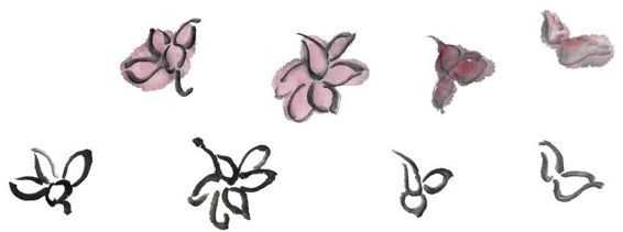 零基础梅花花朵入门画法,零基础学国画梅花入门步骤