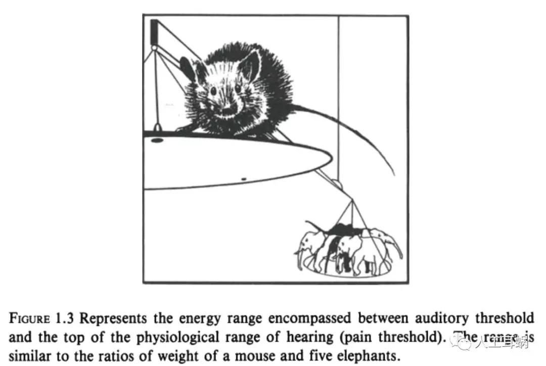 耳朵对声音很敏感焦虑,耳朵敏感代表什么性格