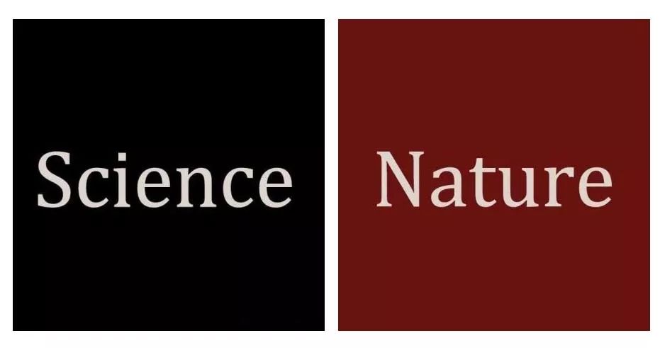 单身狗vs情侣过情人节,单身狗情人节打王者