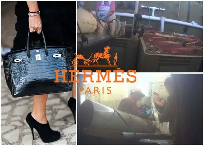 我用年终奖买了15个爱马仕，刺激