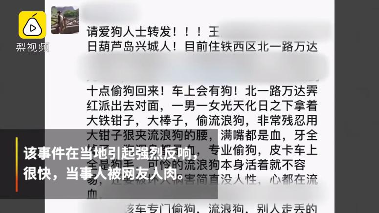 警察捕捉流浪狗,辽宁捕杀流浪狗