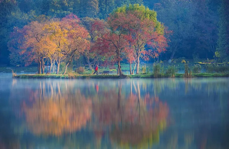 南京是什么样的城市,南京是什么颜色的