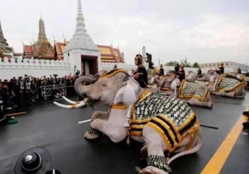 泰国王室是不是全世界最富的,泰国王室贵族等级