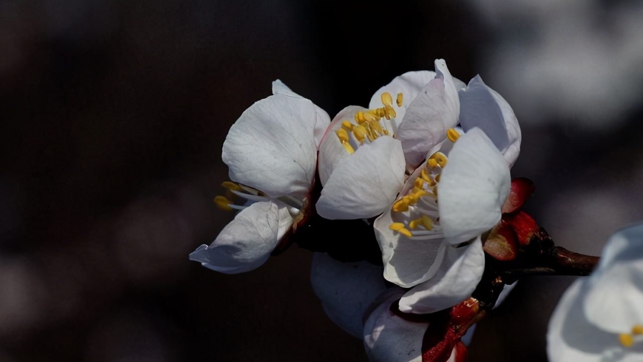 水瓶座很冷漠也很善良,水瓶座看似随和无主见