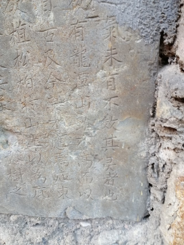 $.97.樱桃时节赴龙潭