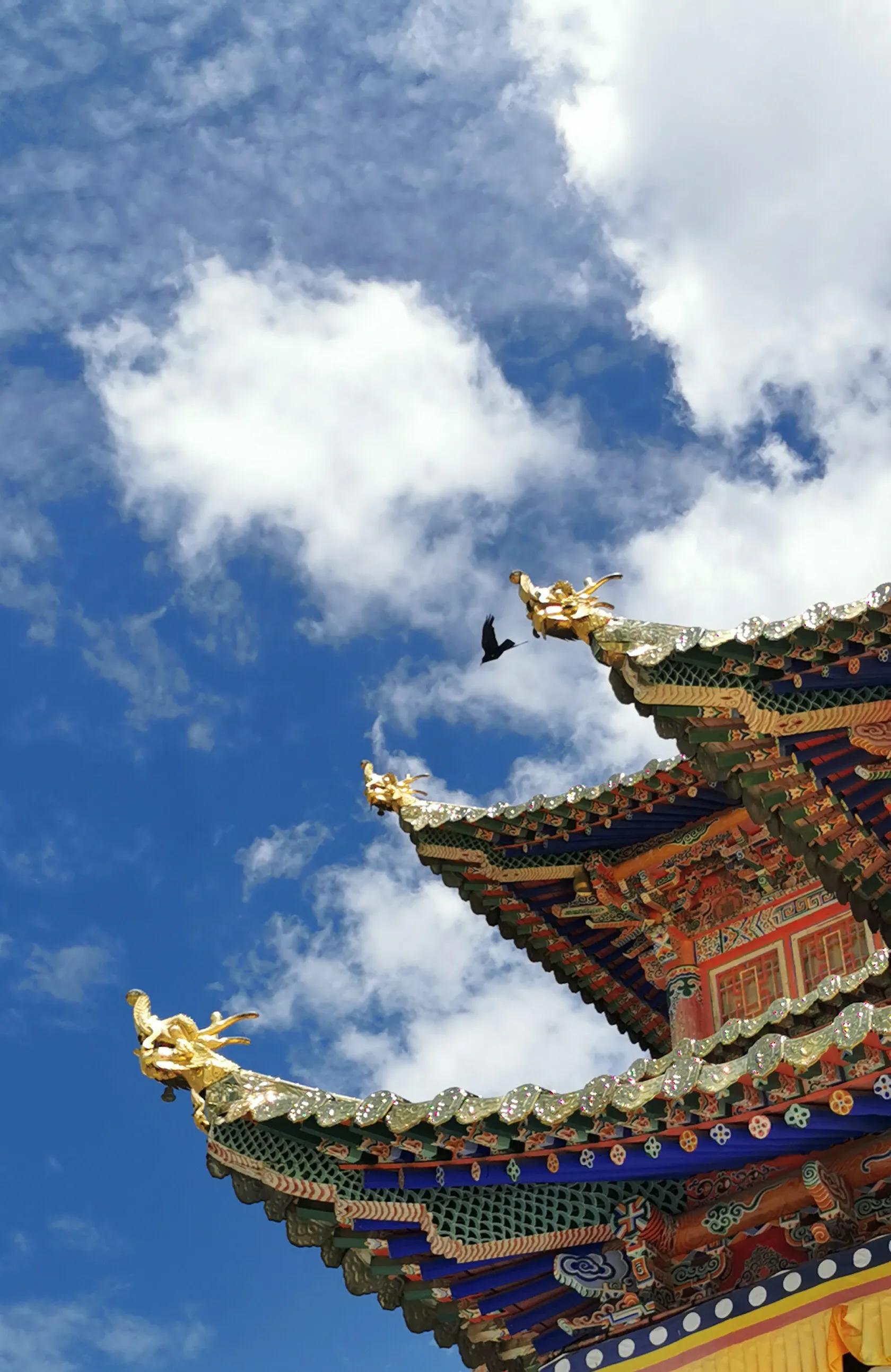 手拍世界手机摄影平台,手拍世界摄影交流平台