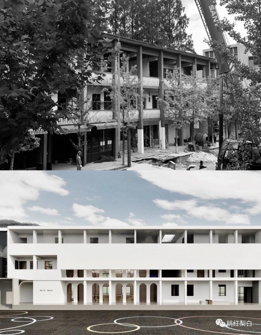 章泽天与董花花关系,章泽天和董花花什么关系