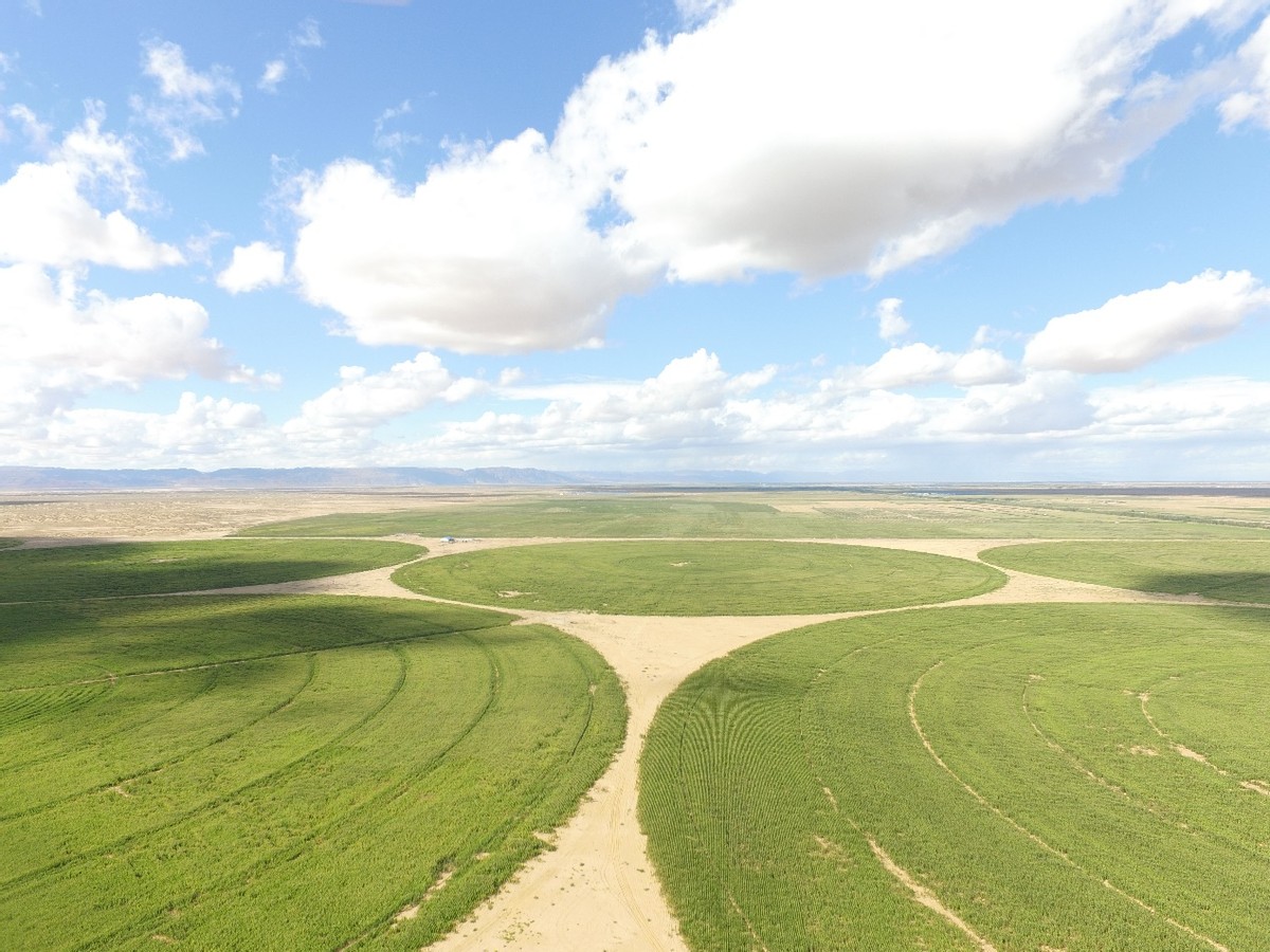 圣牧有机奶的优缺点,圣牧有机奶渠道分析