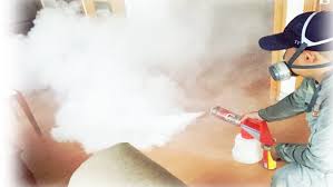 鹦鹉常见疾病之:毛滴虫