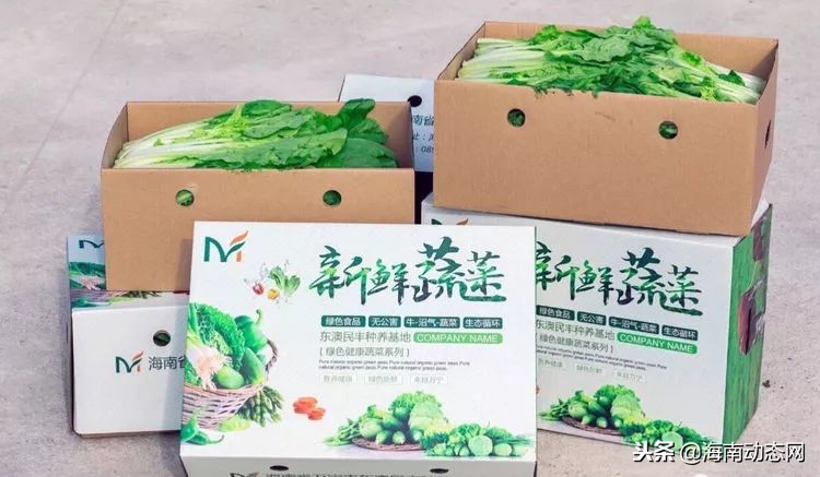 在海南万宁感受海滩风光,海南万宁必吃