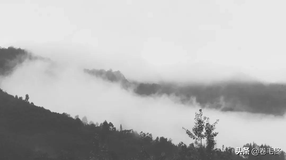 黑白摄影只是去掉颜色?快来欣赏“无色”世界的美