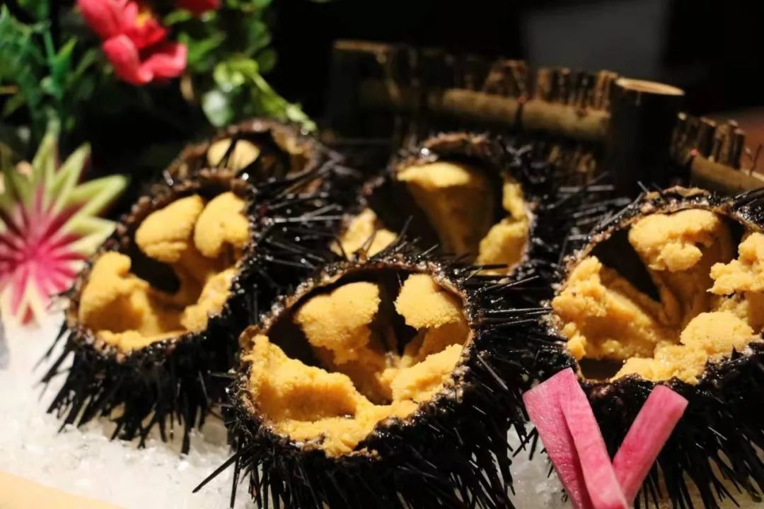 渔川禾日料周年庆｜折扣、礼品、免单，你想要的福利这里全都有