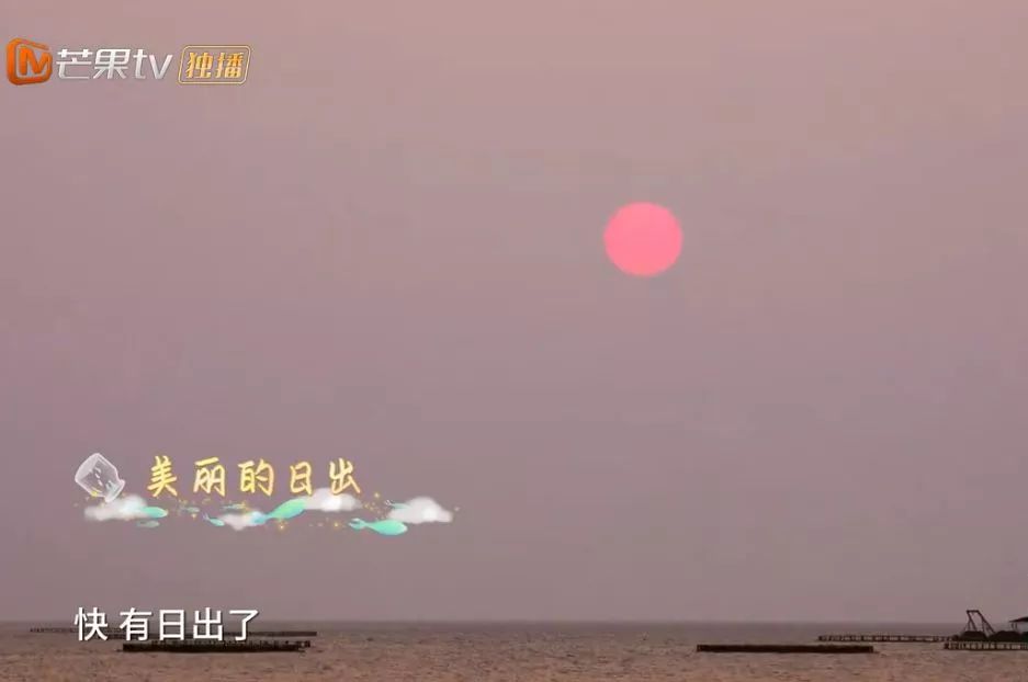 《哈哈农夫》西岛站:王源、杨超越、贾乃亮、金瀚说出明星的烦恼