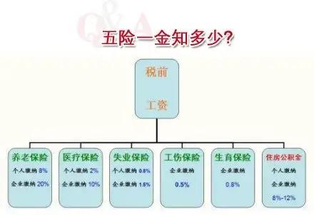 怎么知道自己的社保是五险一金,五险一金指的哪些