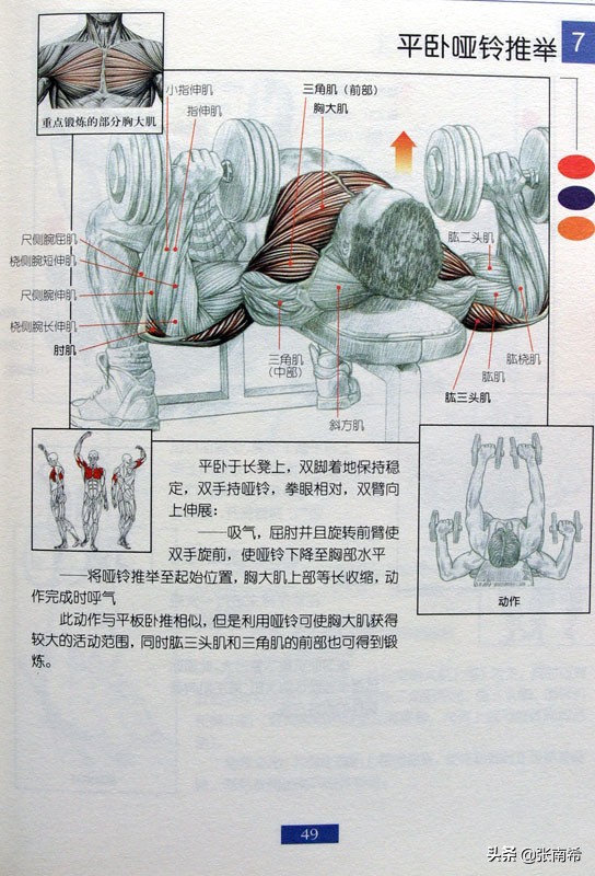 男士健身的进阶之路,男士运动健身全攻略
