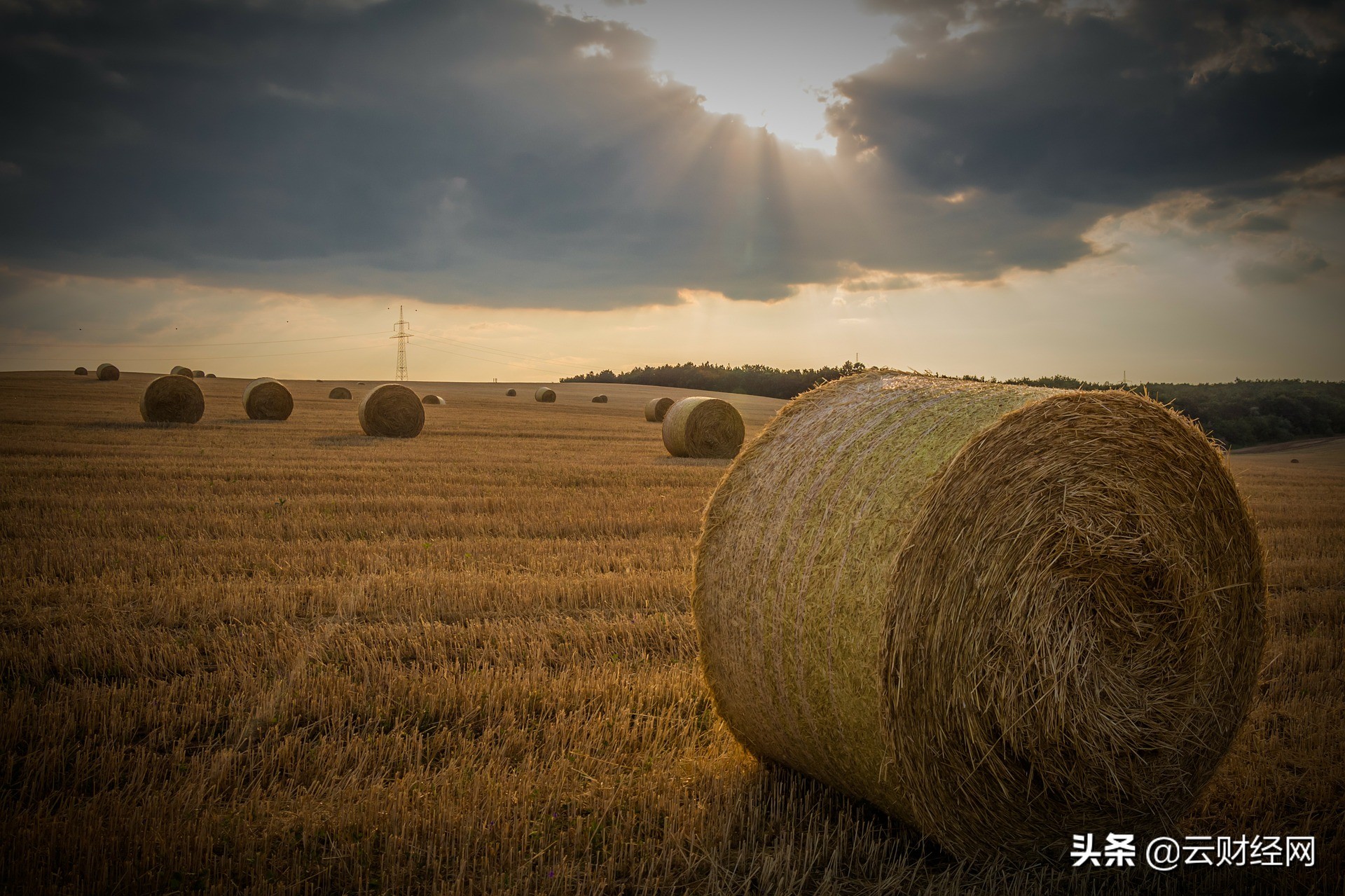 股票量化交易数据库需要时序数据,量化交易适合什么数据库