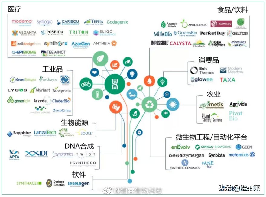 喝茶能控制血糖吗,喝茶可以控制血糖吗
