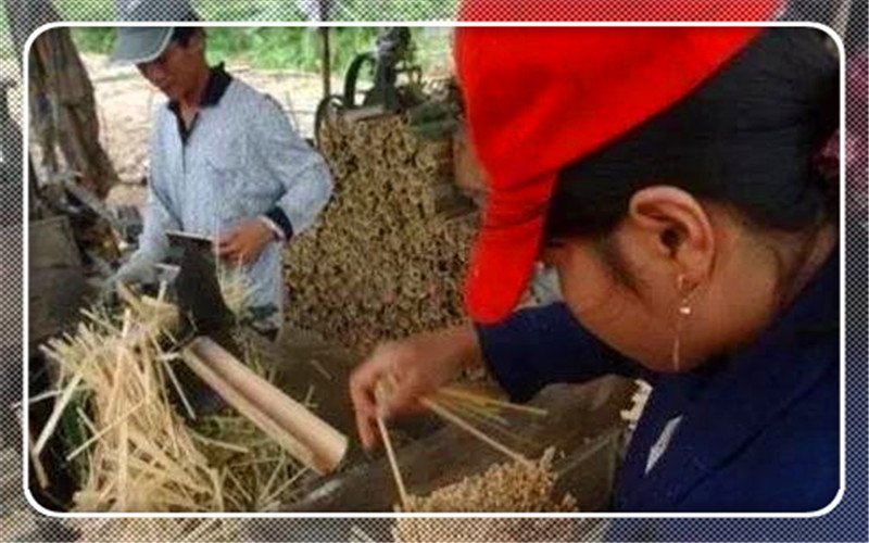 农村小作坊创业项目,30万在农村适合做什么小作坊