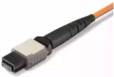 涨见识视频完整版,涨见识系列大全