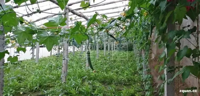 求职招聘大专附近工作阿克苏,阿克苏本地找工作58同城最新招聘