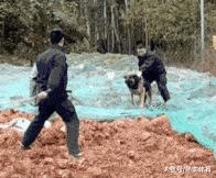 搞笑gif妹子你确定不是来搞笑的,搞笑gif妹子这手速老厉害了