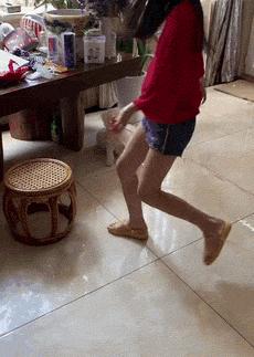 比熊这朵棉花糖，圆圆白白胖胖，是我的初恋情狗没错了