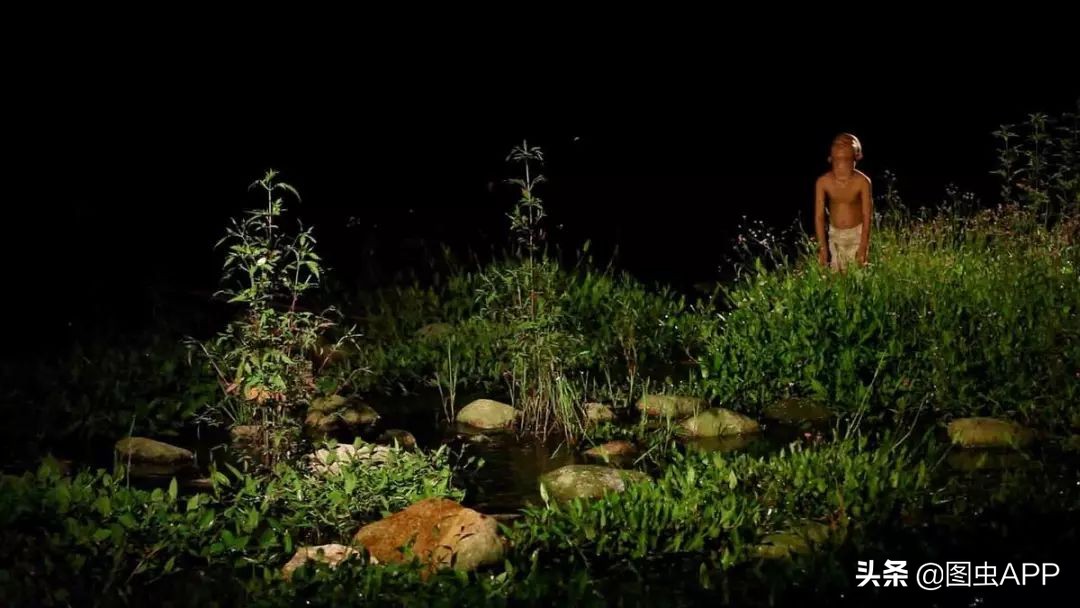 图虫opensealab摄影,图虫看动物世界系列