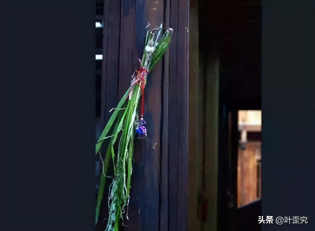 山前青青野艾草,你家门前插几枝?