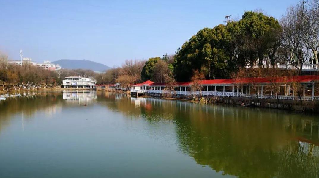 脑肿瘤与帕金森,科技进步有治愈脑肿瘤的可能吗