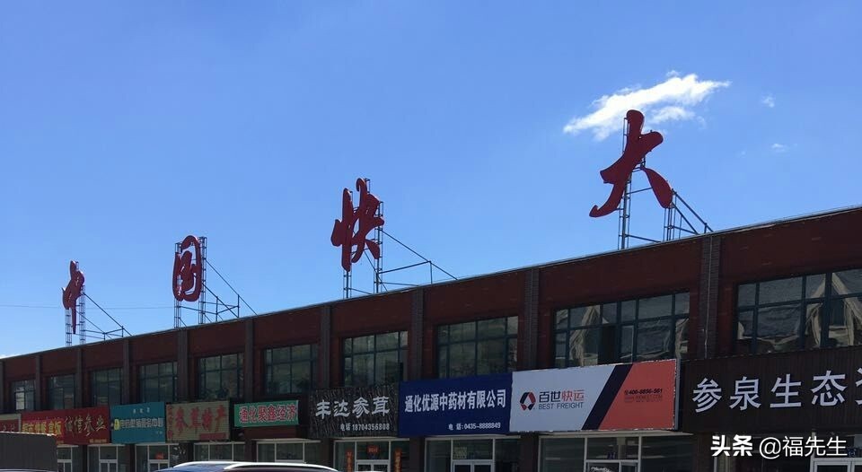 人参冷门常识,解读人参