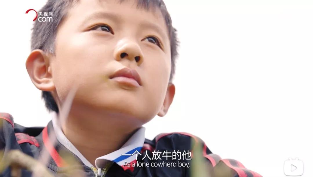 关于情绪调节的纪录片,看了情绪管理的感触