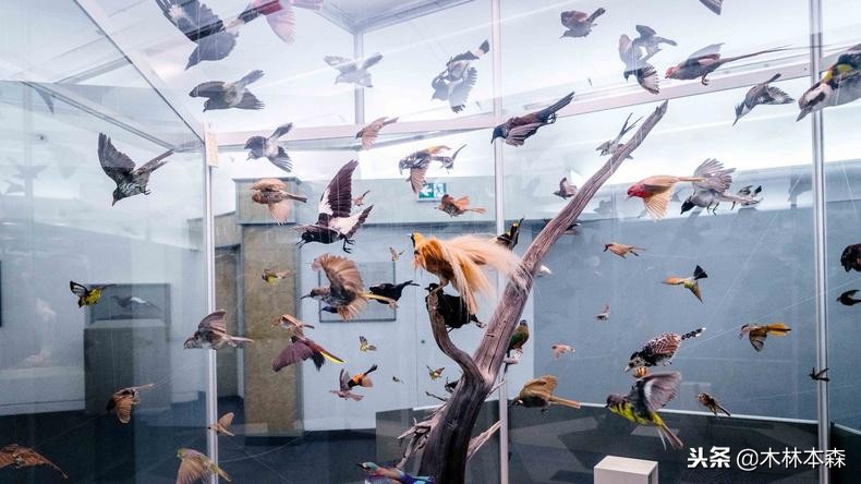 加拿大旅行日记,多伦多最佳生活日记