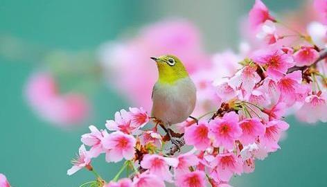 一个人老去就是从丧失童心开始,一个人老去真的好吗