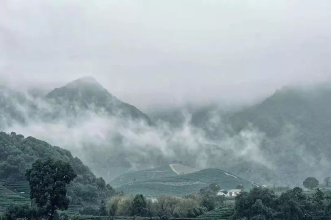 杭州原研斋茶园民宿,杭州茶园民宿推荐