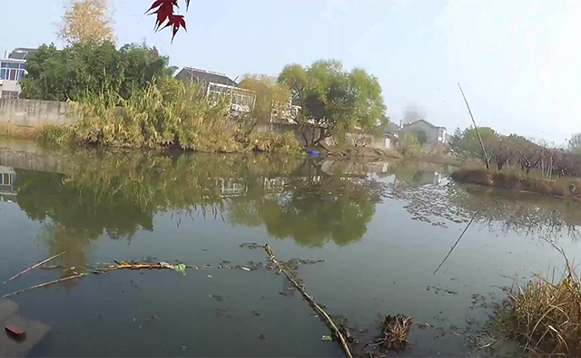 野钓如何避免小杂鱼闹窝,野钓小杂鱼闹窝太严重怎么办