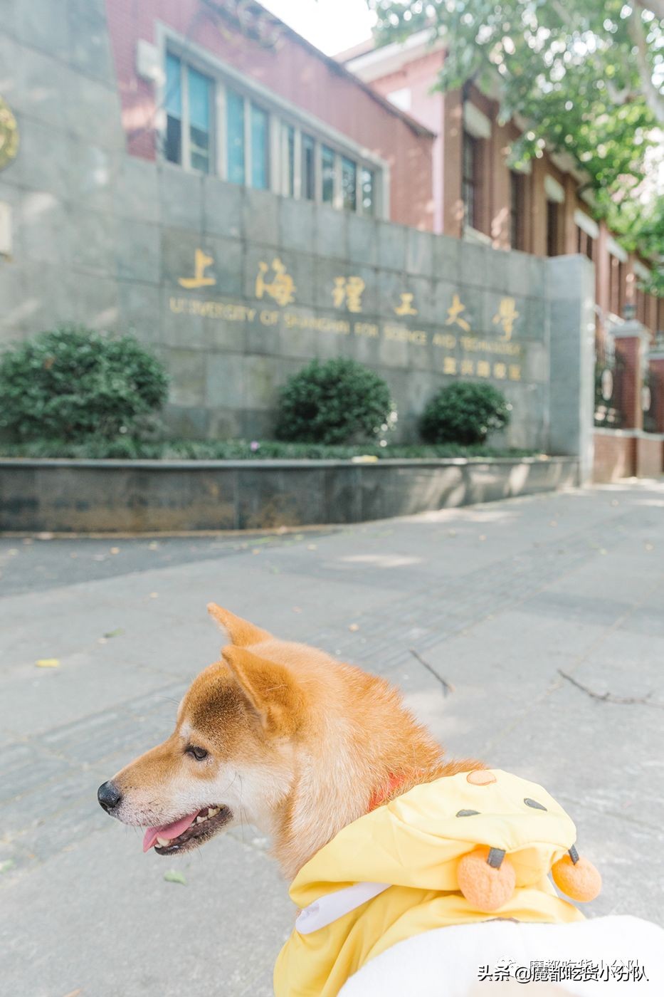 高考择校tips,高考择校指导985211